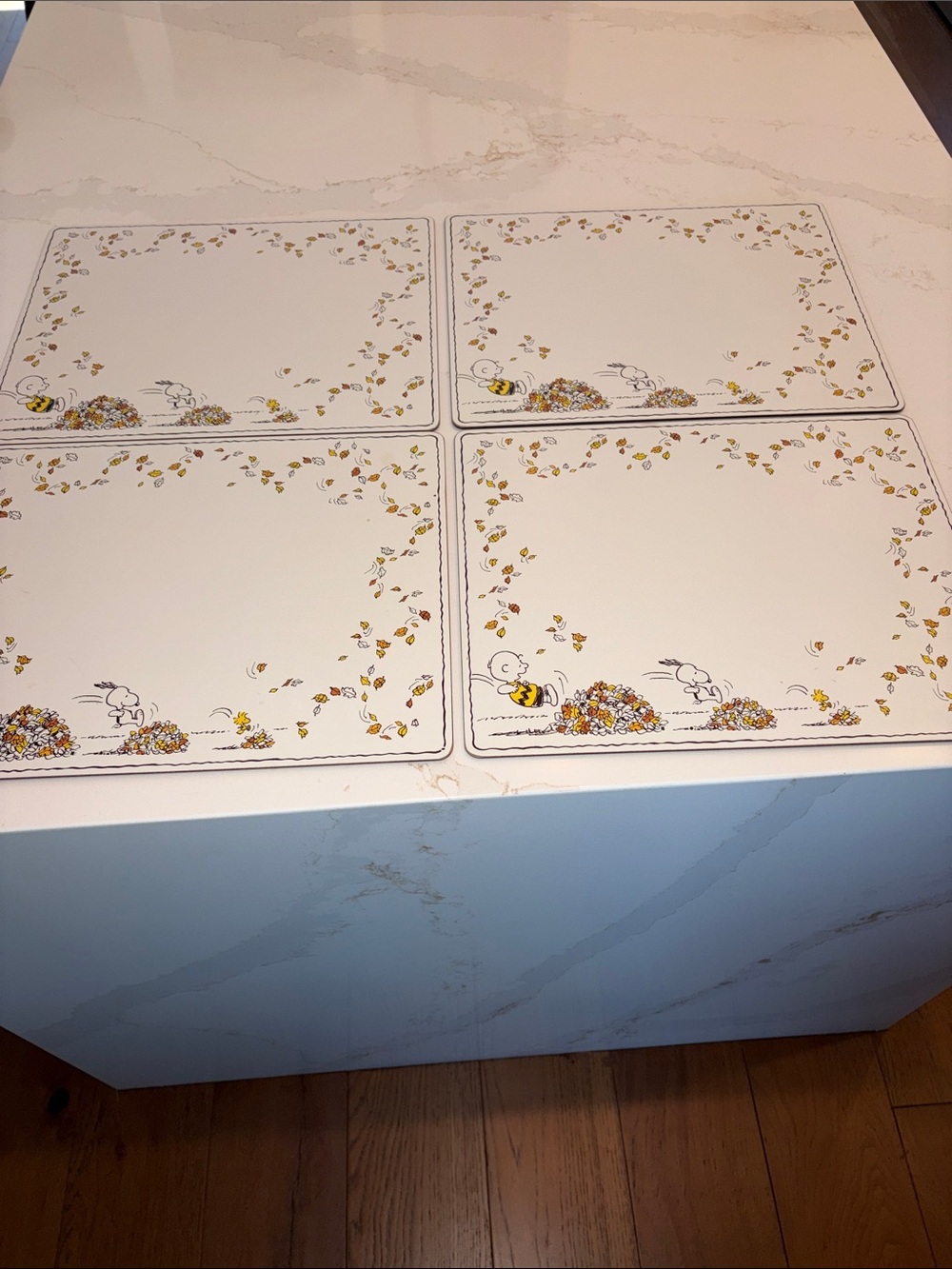 Pottery Barn Snoopy Fall Leaf Cork board Placemats - Set of 4